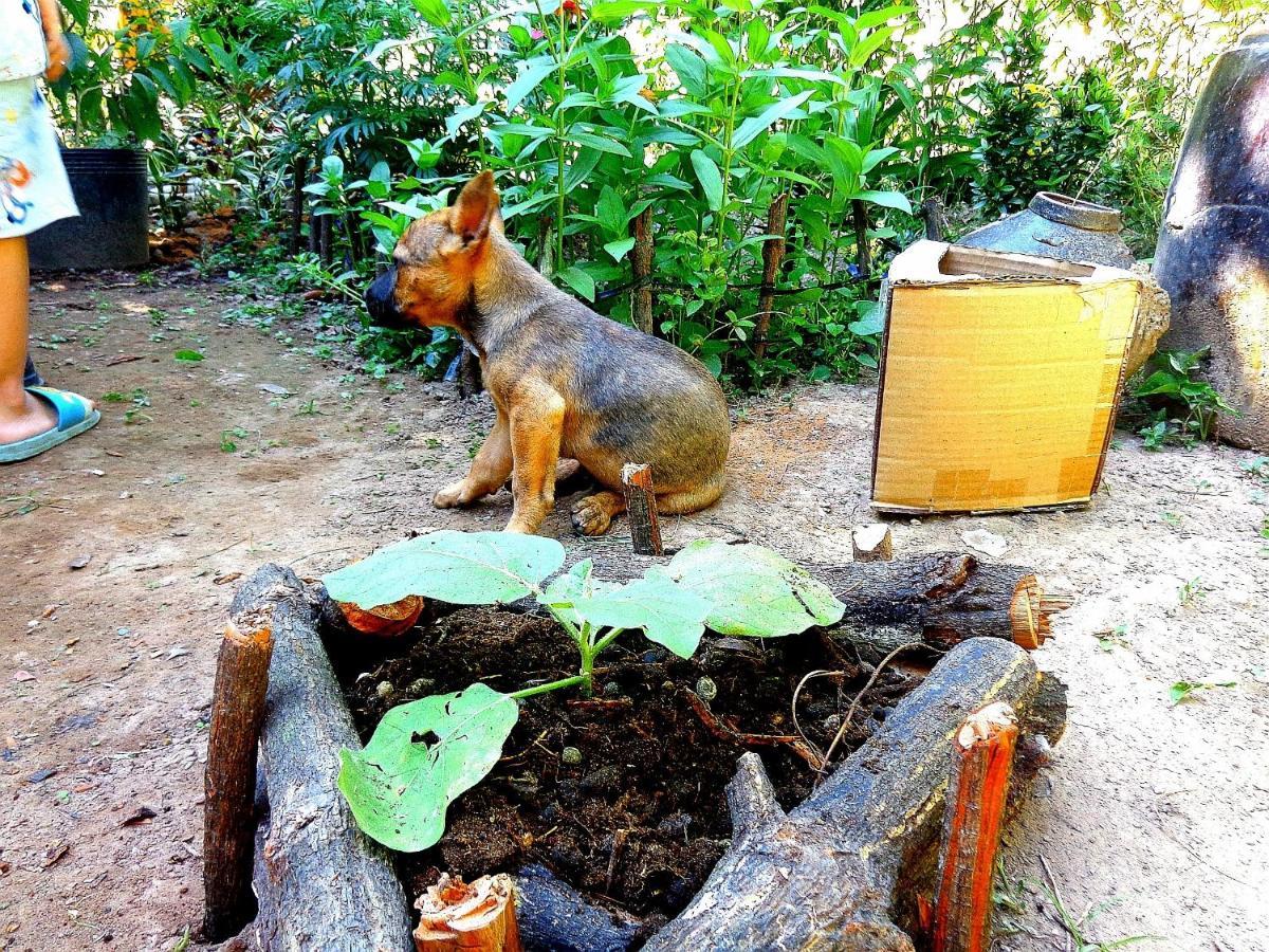 Coco Happy Farm Villa Ben Tre ภายนอก รูปภาพ