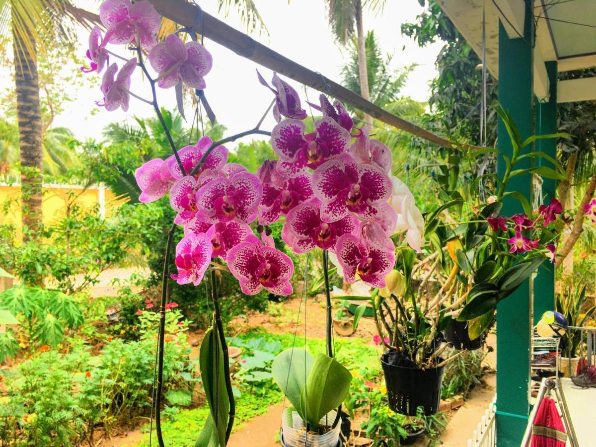 Coco Happy Farm Villa Ben Tre ภายนอก รูปภาพ