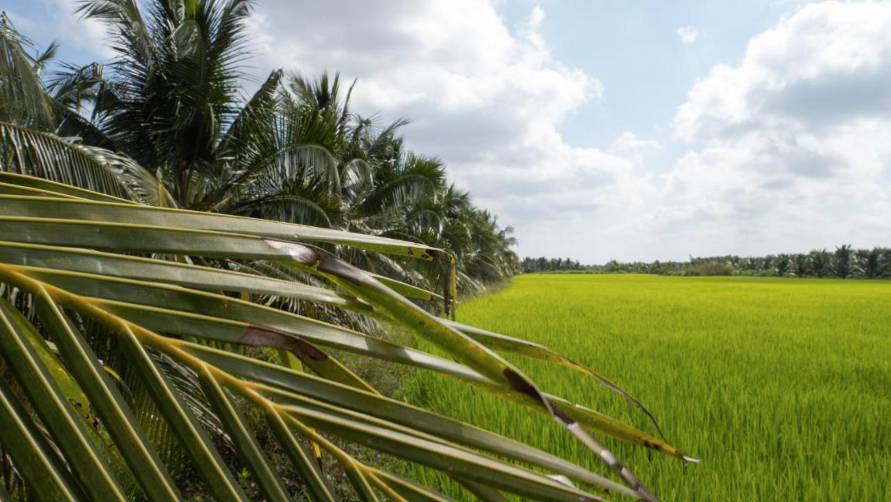 Coco Happy Farm Villa Ben Tre ภายนอก รูปภาพ