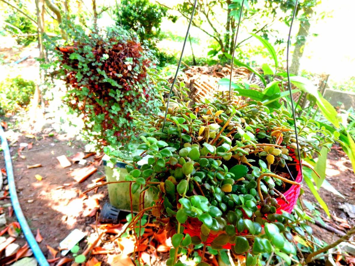 Coco Happy Farm Villa Ben Tre ภายนอก รูปภาพ