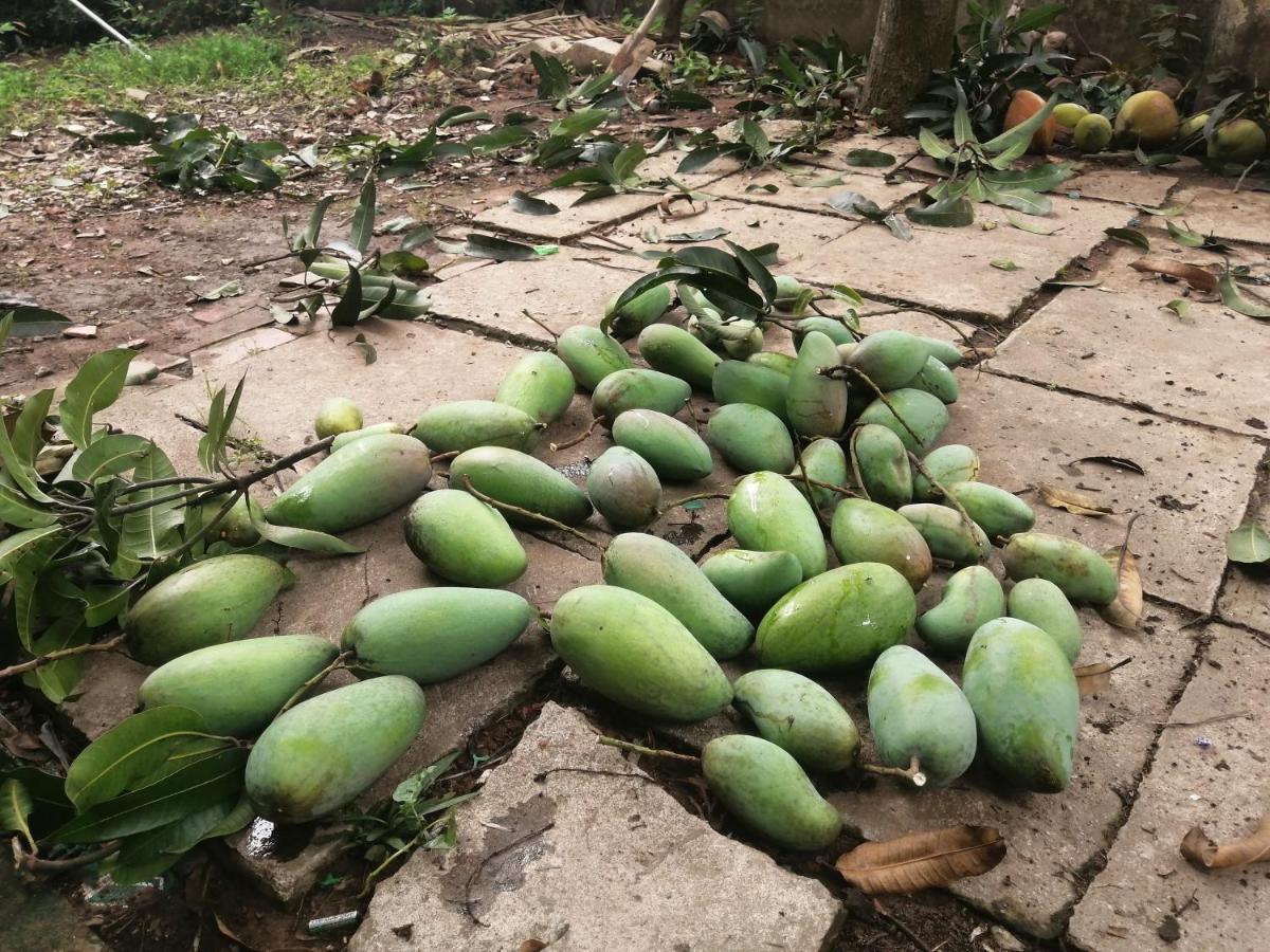 Coco Happy Farm Villa Ben Tre ภายนอก รูปภาพ