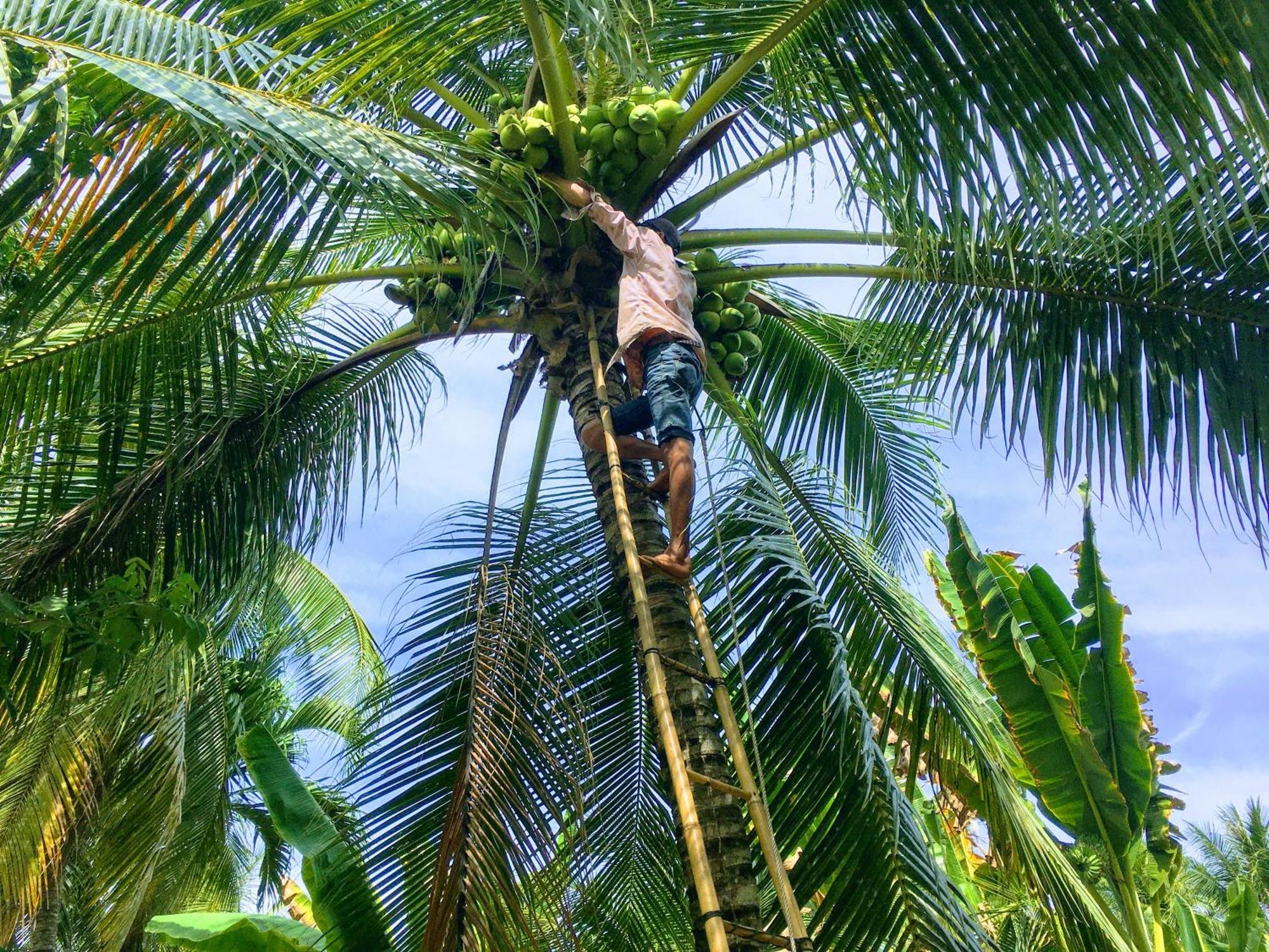 Coco Happy Farm Villa Ben Tre ภายนอก รูปภาพ