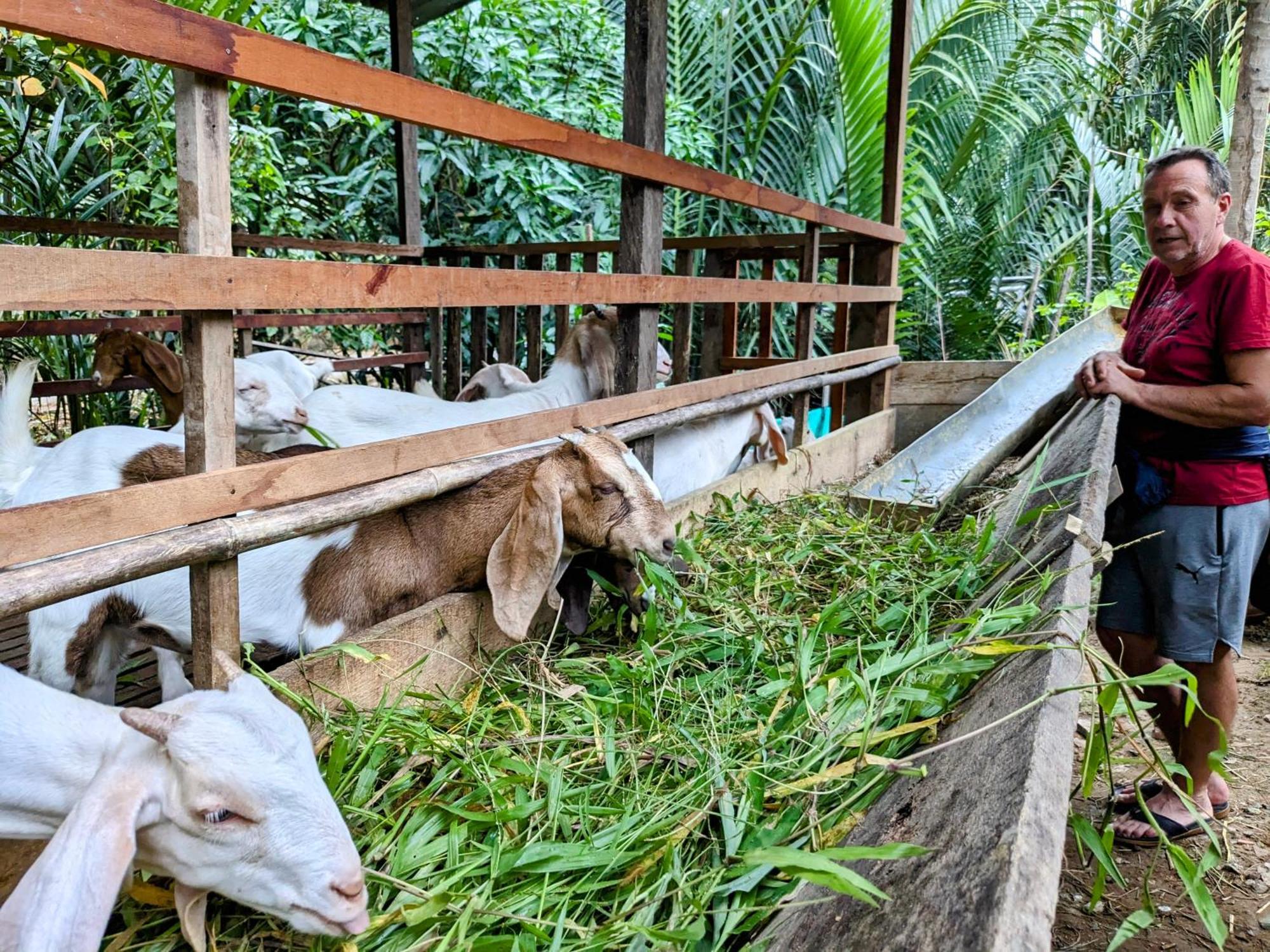 Coco Happy Farm Villa Ben Tre ภายนอก รูปภาพ